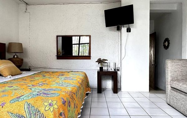 Fast Wifi•Private Apto•Street Entry•Garden•CableTV - Hoteles cerca de La Minerva en Guadalajara
