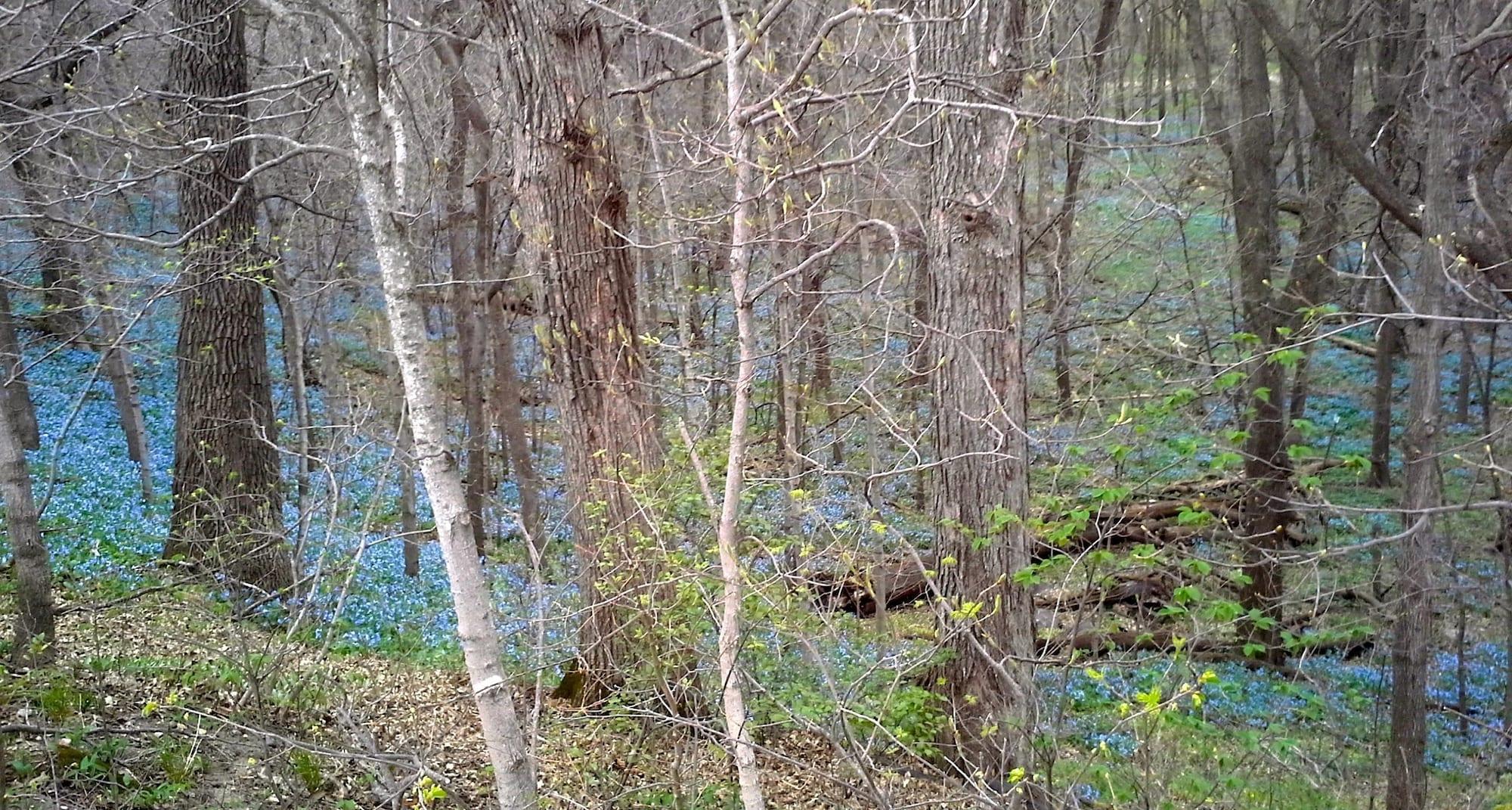 Comodidades del Alojamiento Loya's Little House Bed & Breakfast