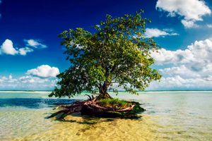 Paquete - Paquete a Riviera Maya