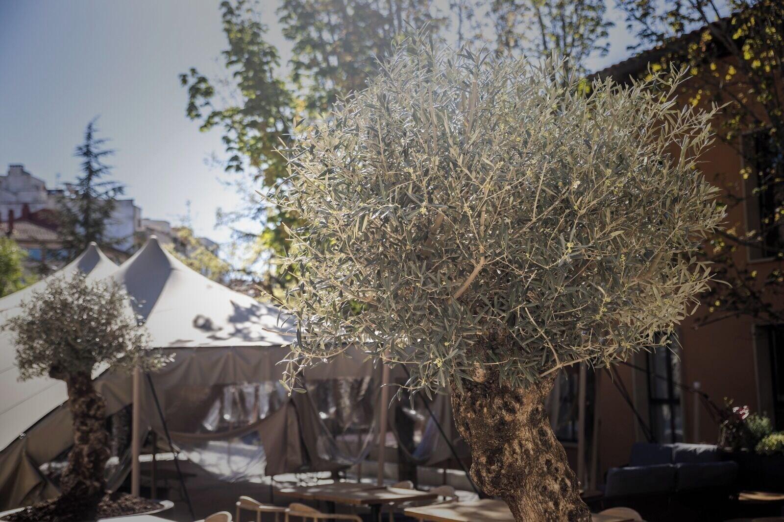 Varios Hotel Y Spa Convento De San Francisco