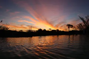 Alojamiento - Jungles Edge