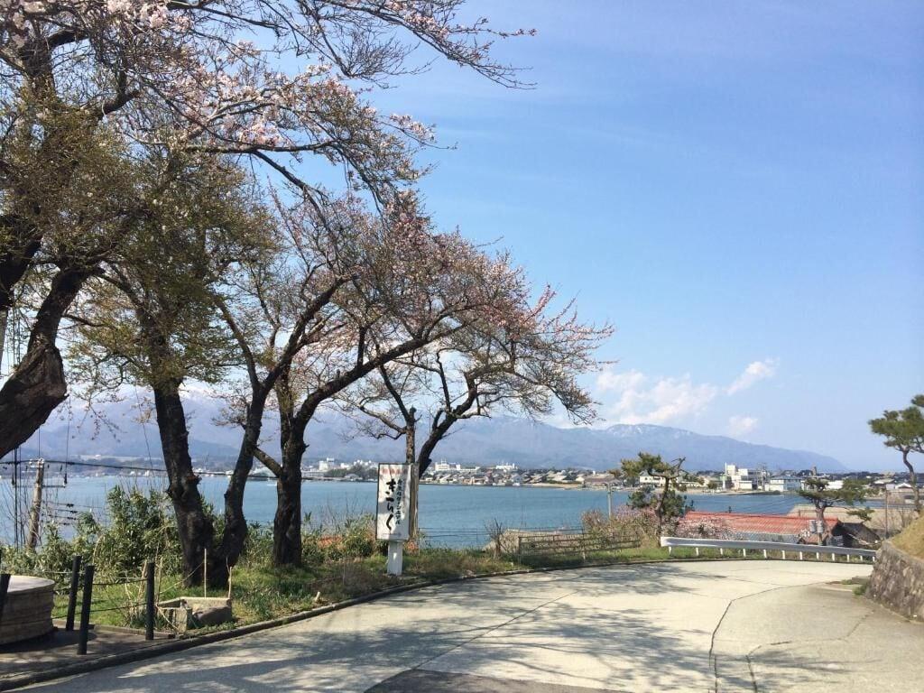 Playa Hotel New Katsura