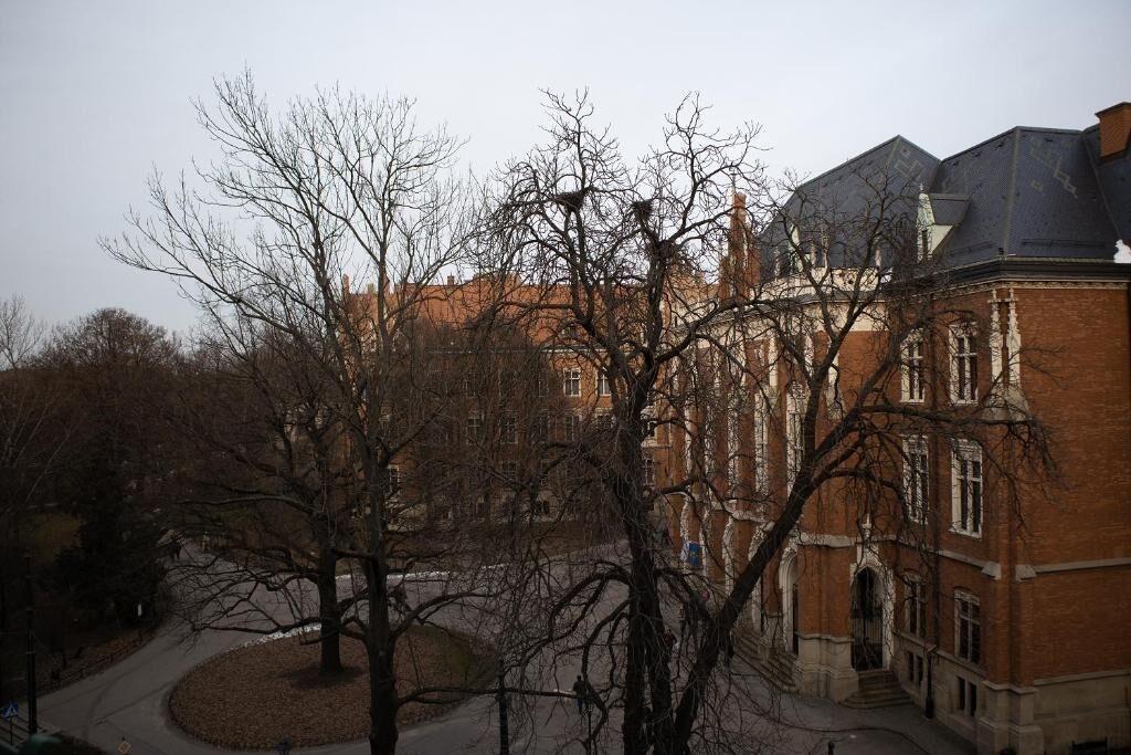 Varios Oak Tree Old Town Apartments