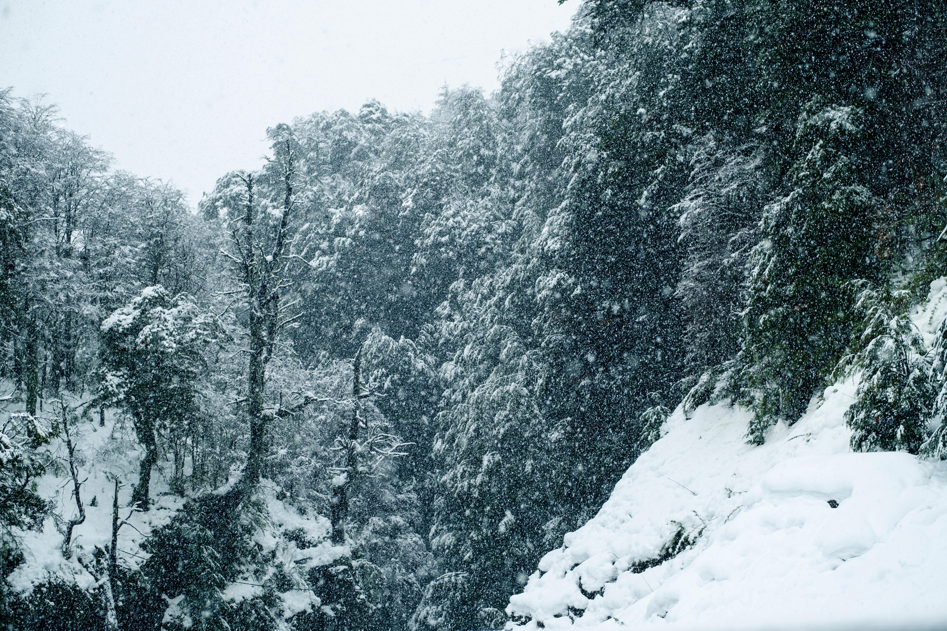 Vista Exterior Hotel Termas Chillán