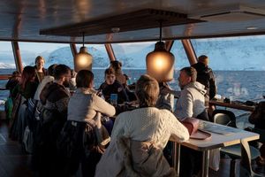 Actividad - Crucero por el fiordo ártico de Tromsø
