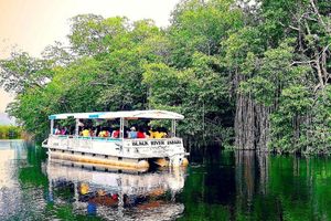 Actividad - Chukka Appleton Estate, Black River Safari & YS Falls - Negril