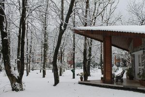 Alojamiento - Span Resort and Spa