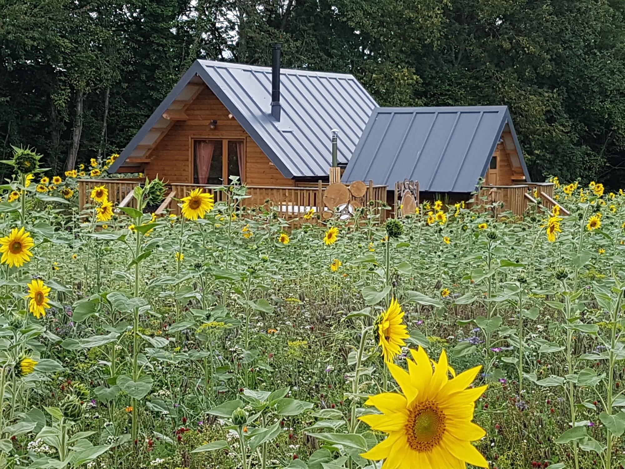Varios Domaine de la Fauvrière