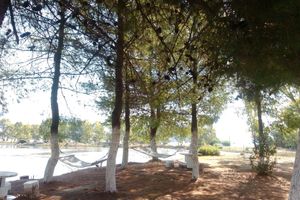 Alojamiento - Villa Olga Lounge Hotel