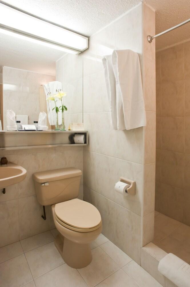 Hotel Hotel Dann Avenida 19