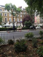 Alojamiento - Balmoral House Hotel