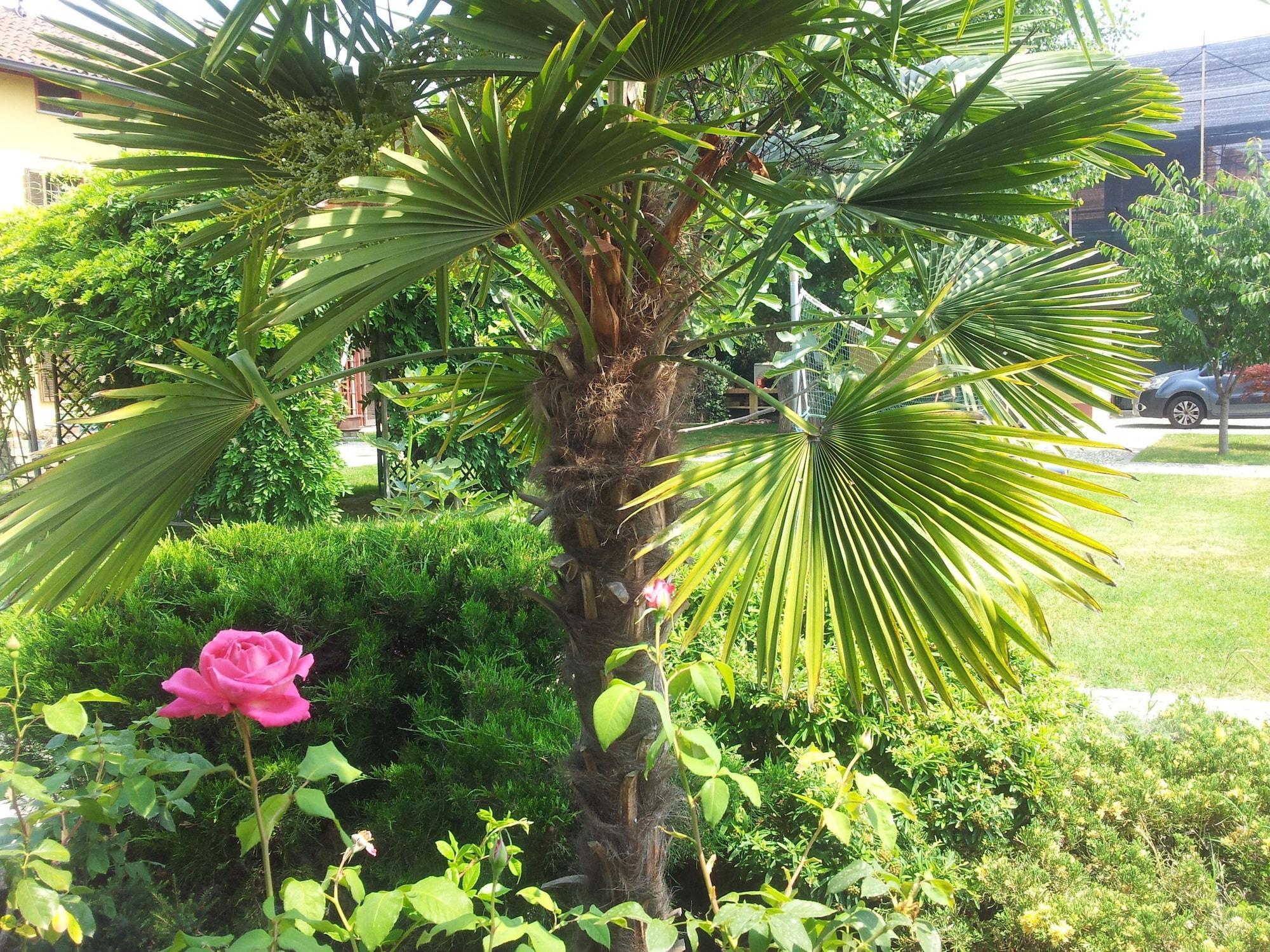 Vista Exterior Il Pioppo e la Fonte