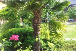 Alojamiento - Il Pioppo e la Fonte