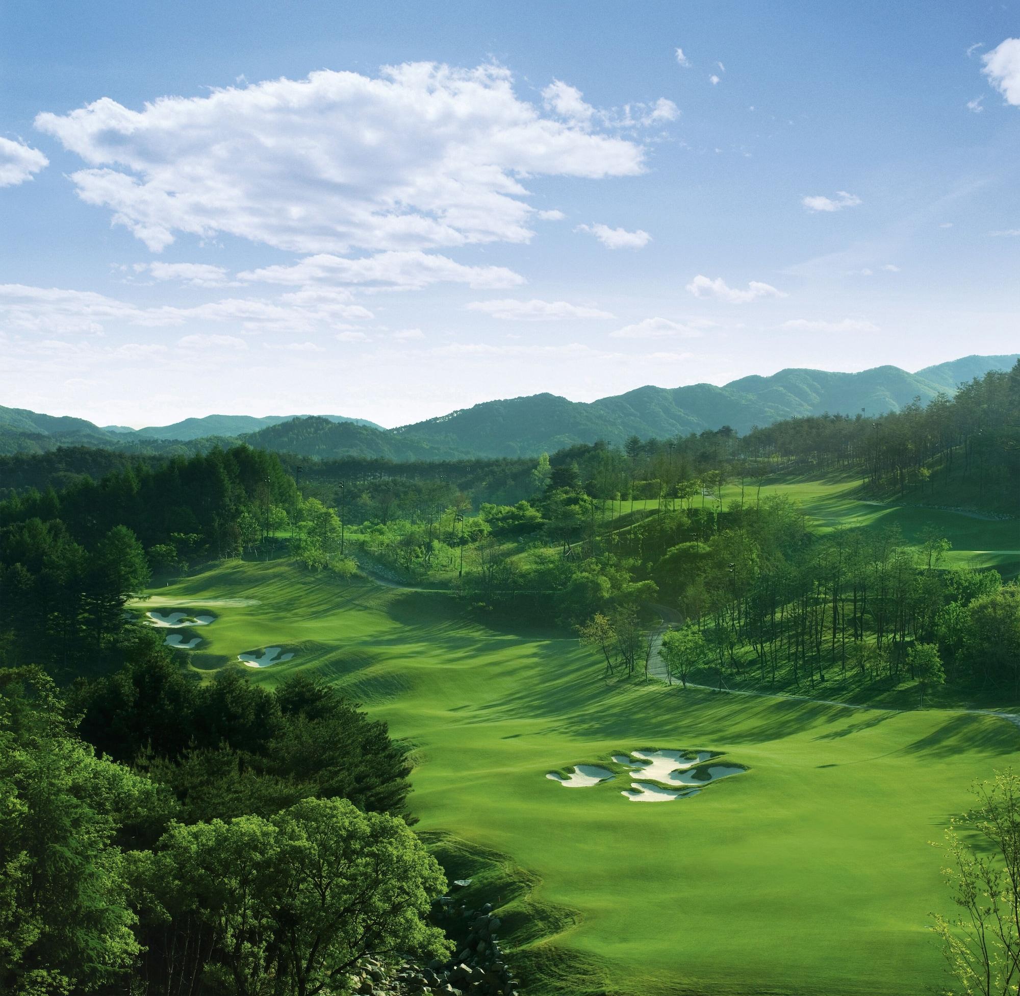 Campo de Golf Welli Hilli Park