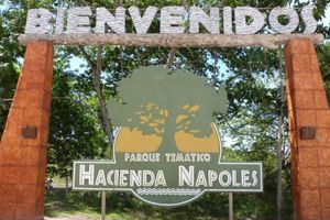 Actividad - Visita Parque Hacienda Nápoles de Pablo Escobar