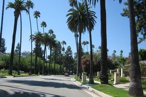 Actividad - Recorrido por las casas de famosos de Hollywood - Grupo pequeño