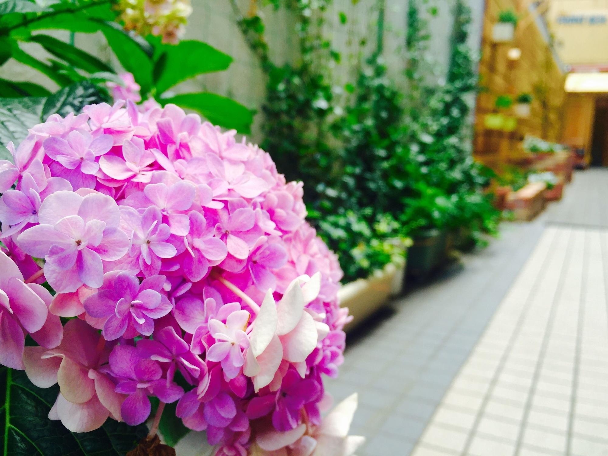 Comodidades del Alojamiento Sophiearth Apartment