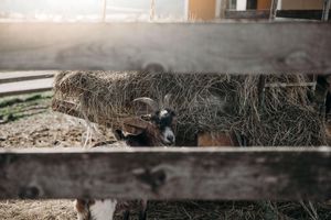 Alojamiento - Hotel Restaurant Weßner Hof