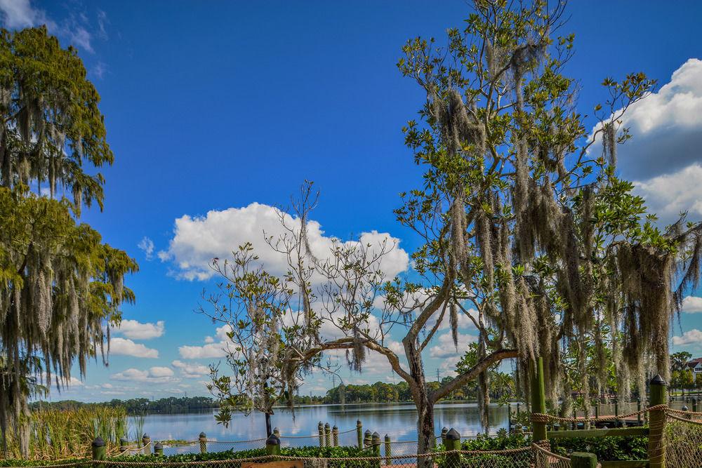 Hotel Bryan's Spanish Cove by Diamond Resorts