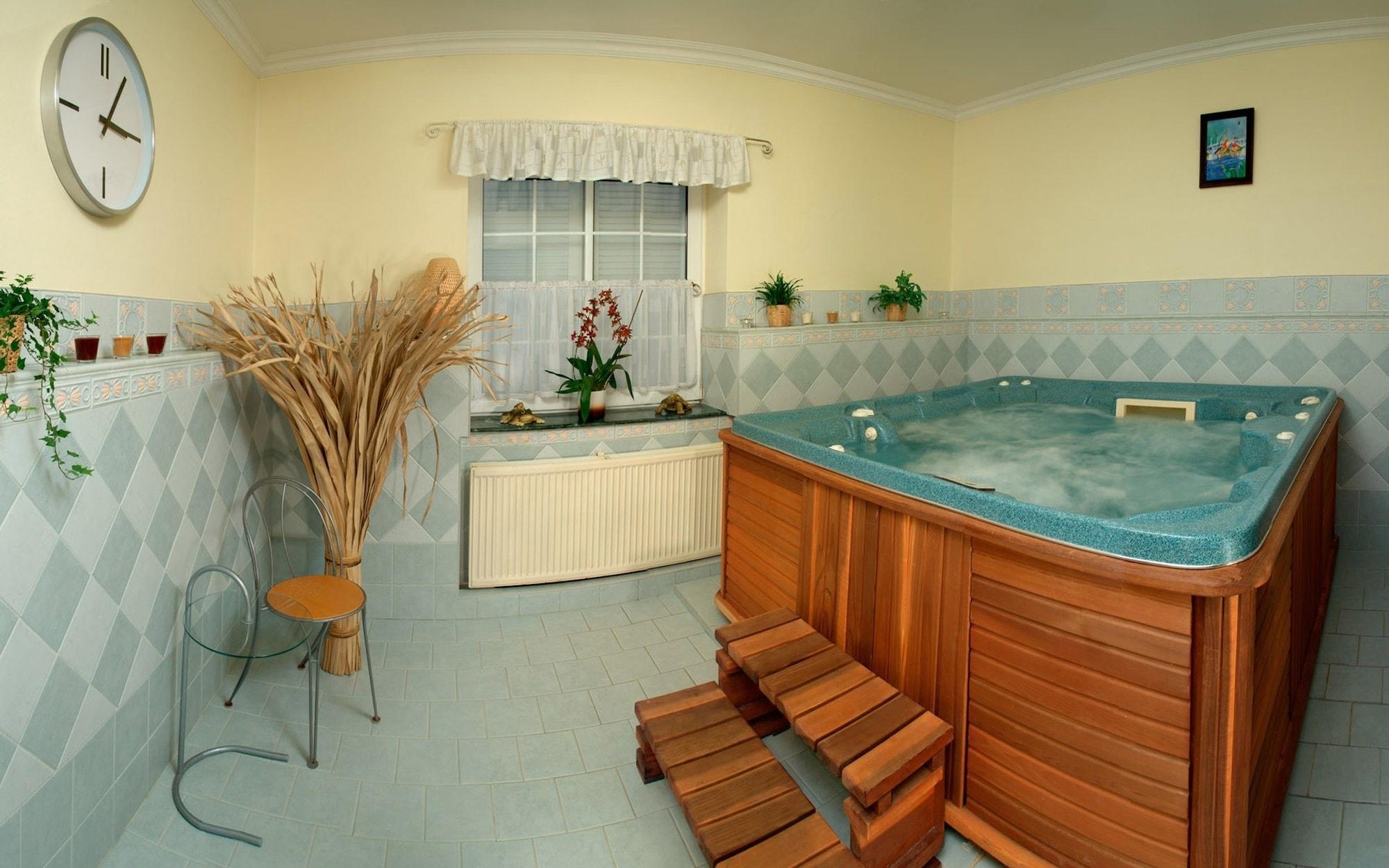 Spa Hotel Ostrov