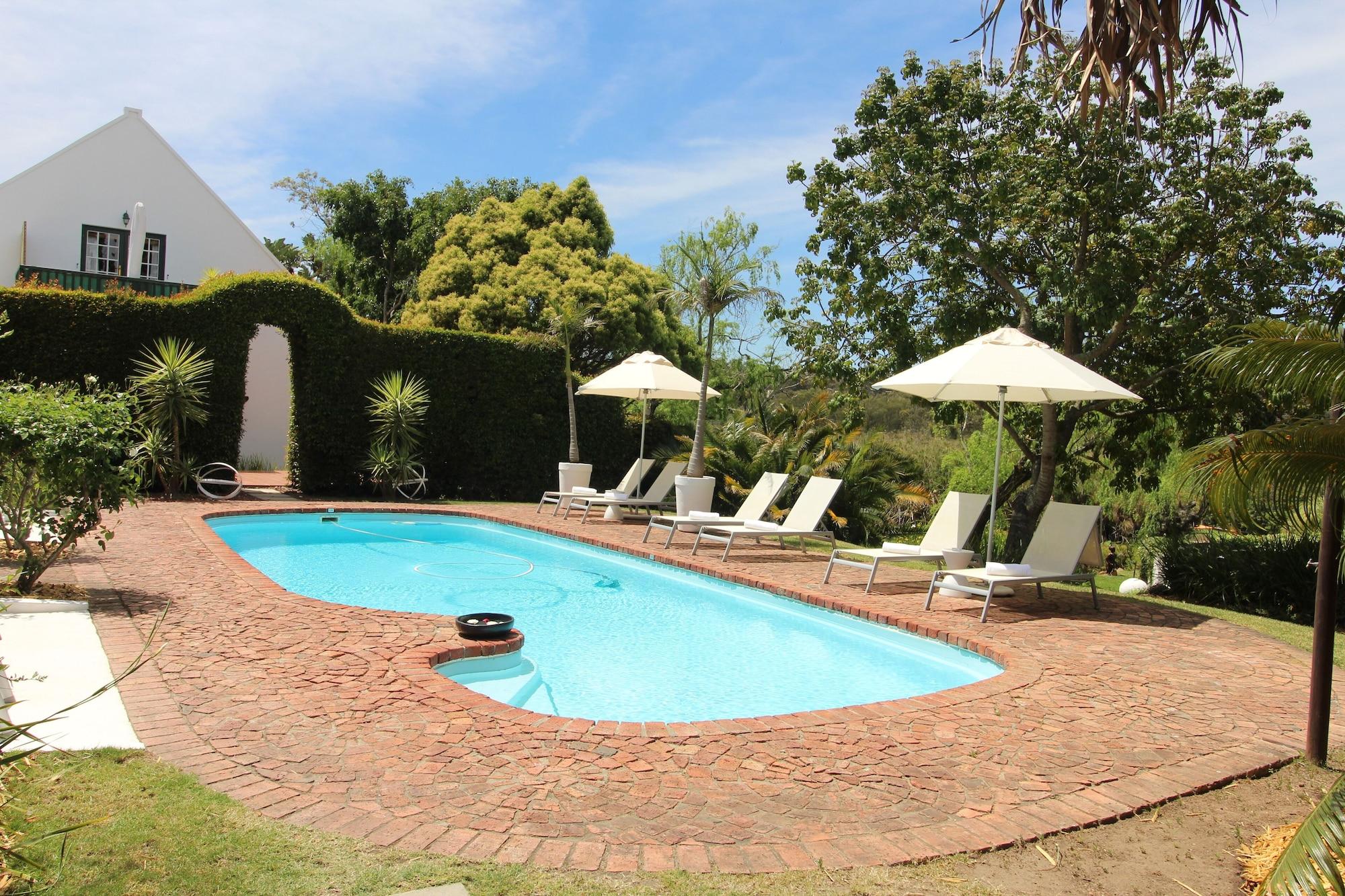 Vista Piscina Rothman Manor Guest House