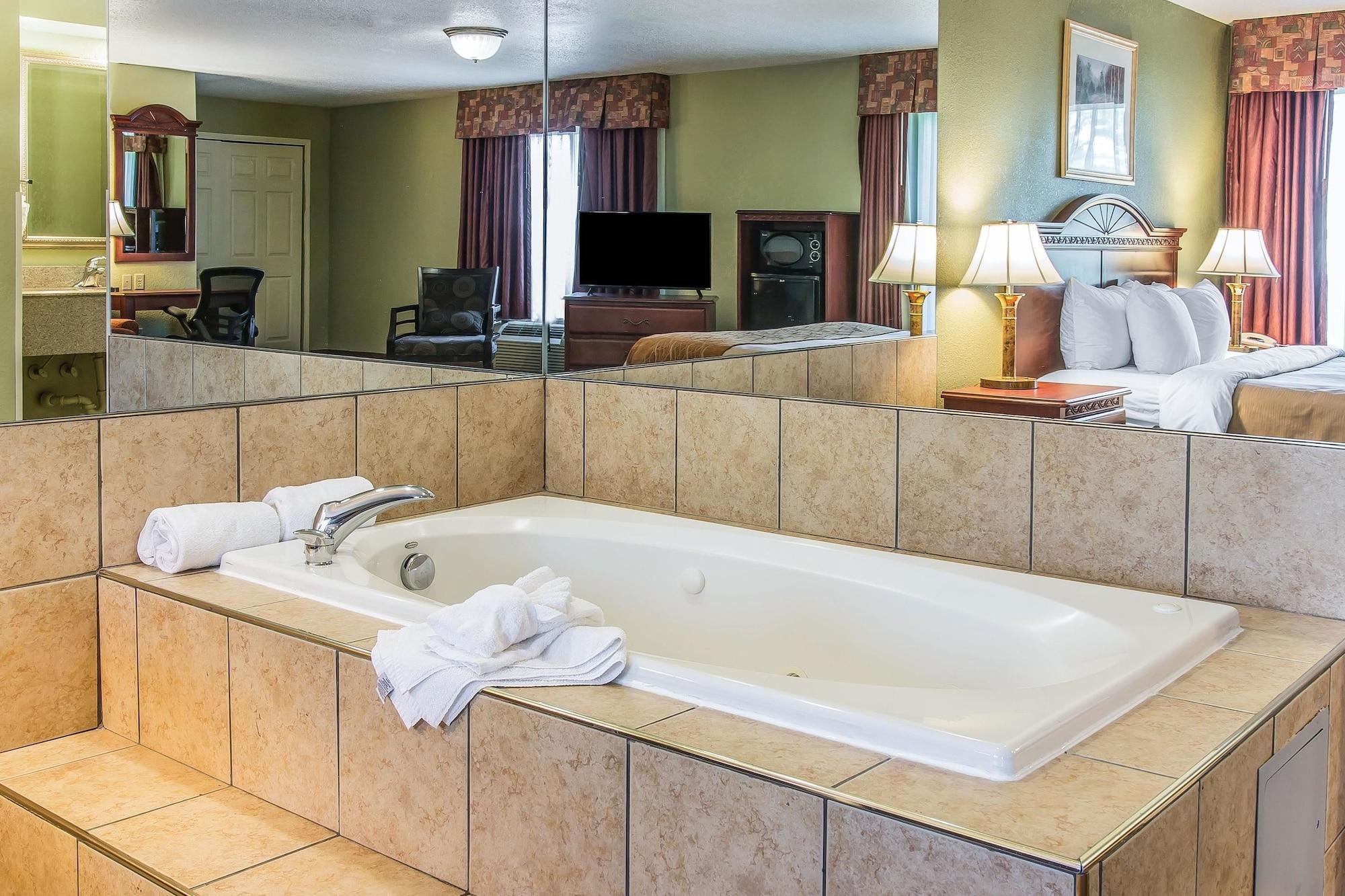 Habitación Quality Inn & Suites Ann Arbor Hwy 23