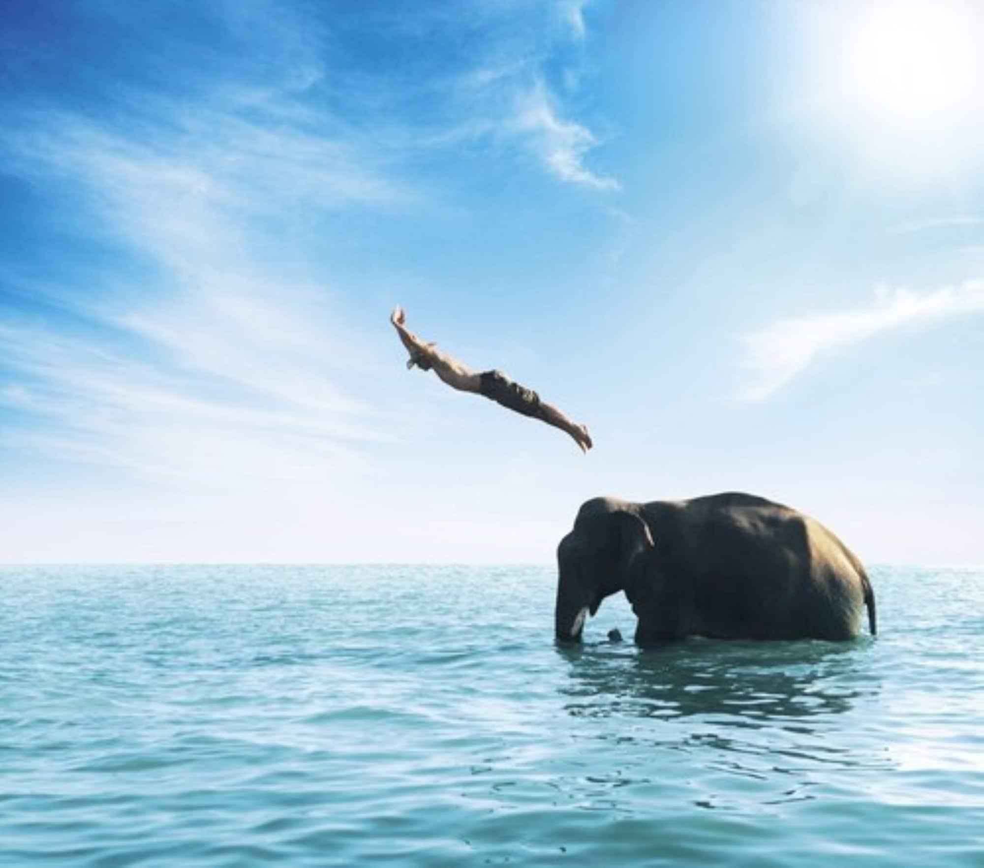 Gimnasio Pimalai Resort And Spa