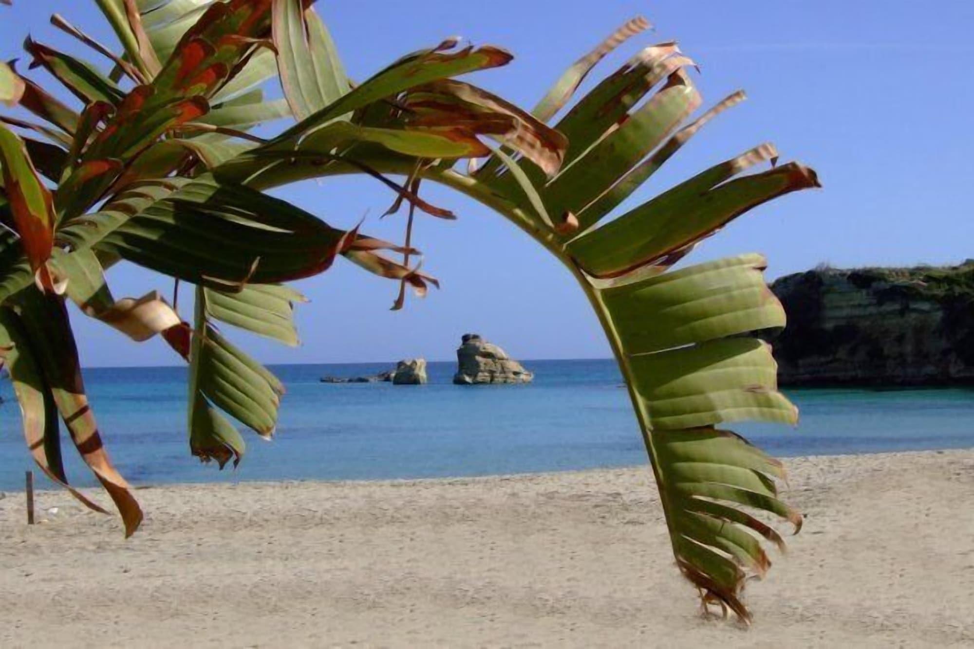 Playa Villa Sunset Bed & Breakfast