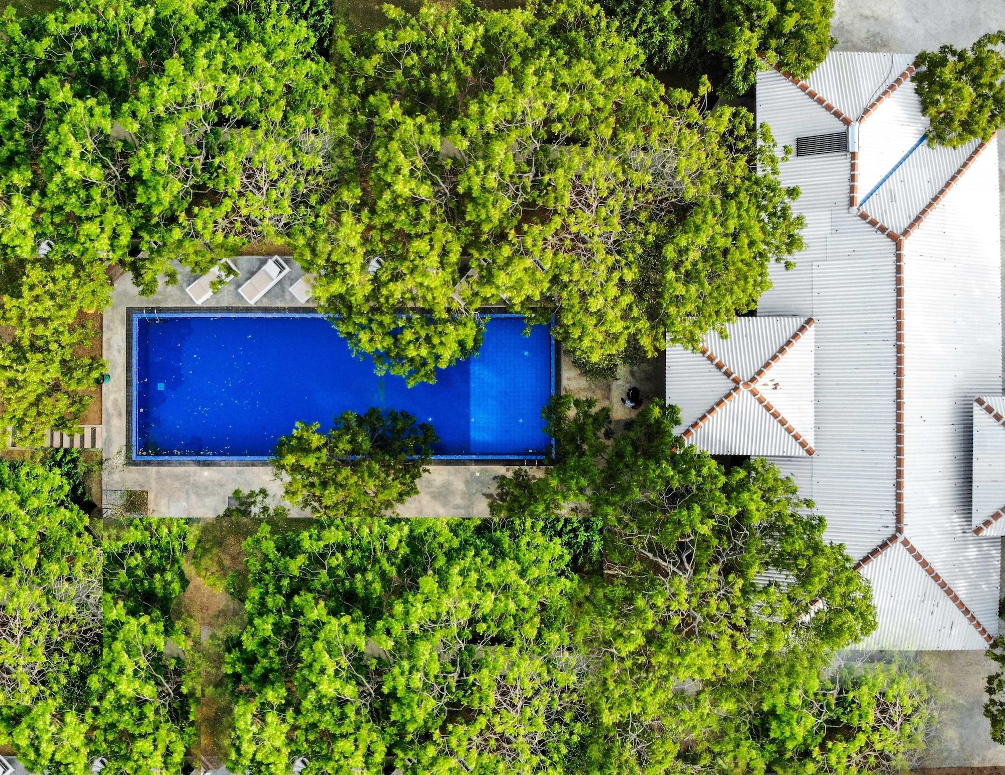 Vista Exterior Arana by Forest Trails