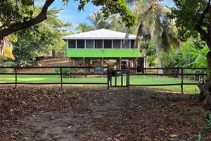 Alquiler Vacacional - Beautiful,Sandy Beach! 50 steps to the BEACH! You get the entire house!