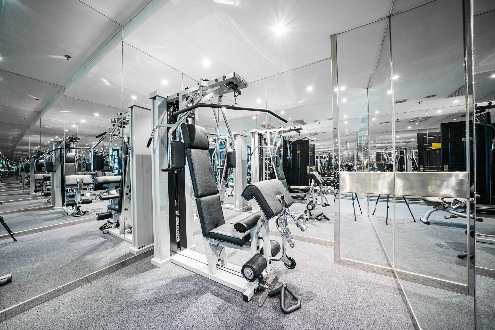 Gimnasio Gracie Art Hotel 798