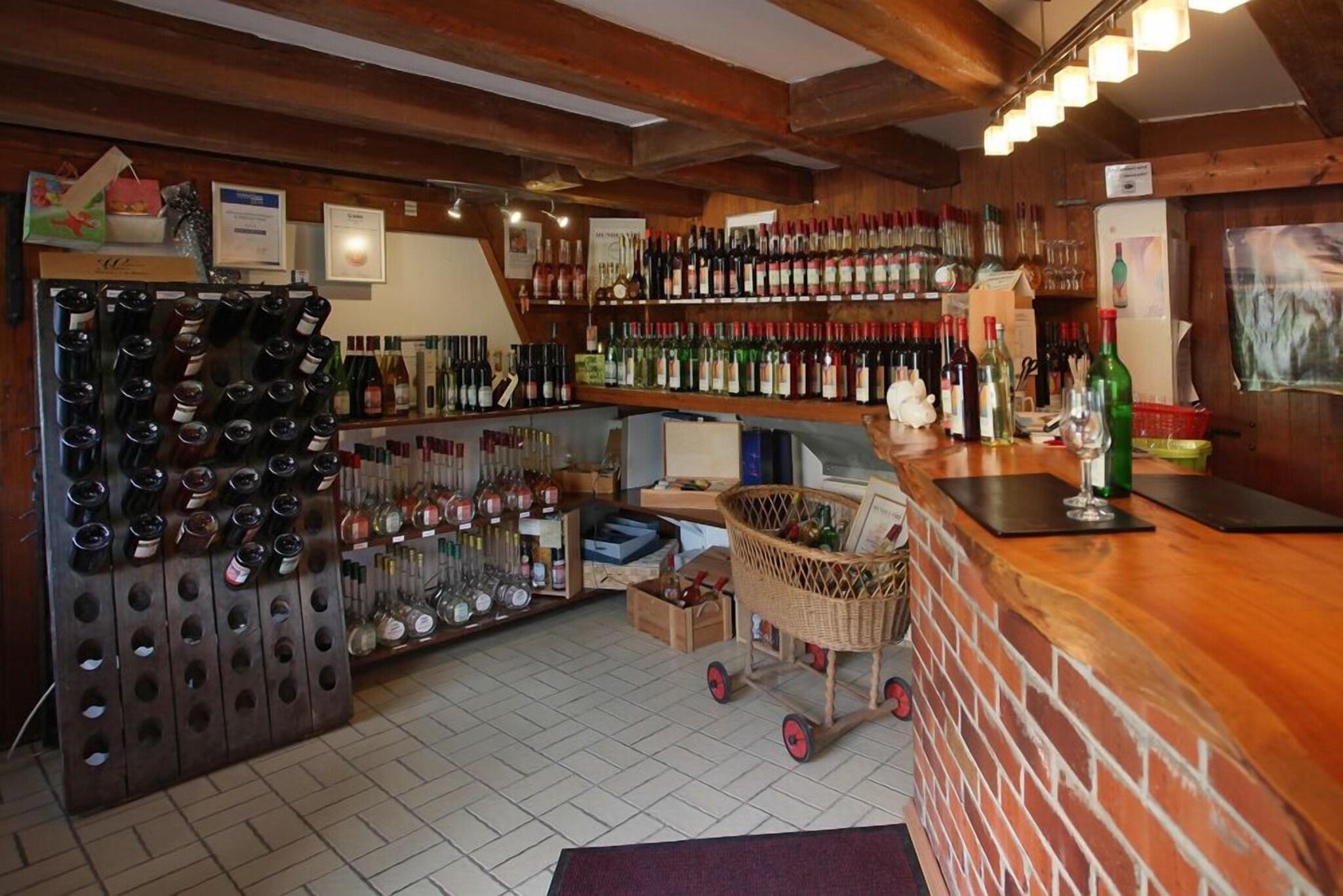 Vista Lobby Wörners Schloss Weingut & Wellness Hotel