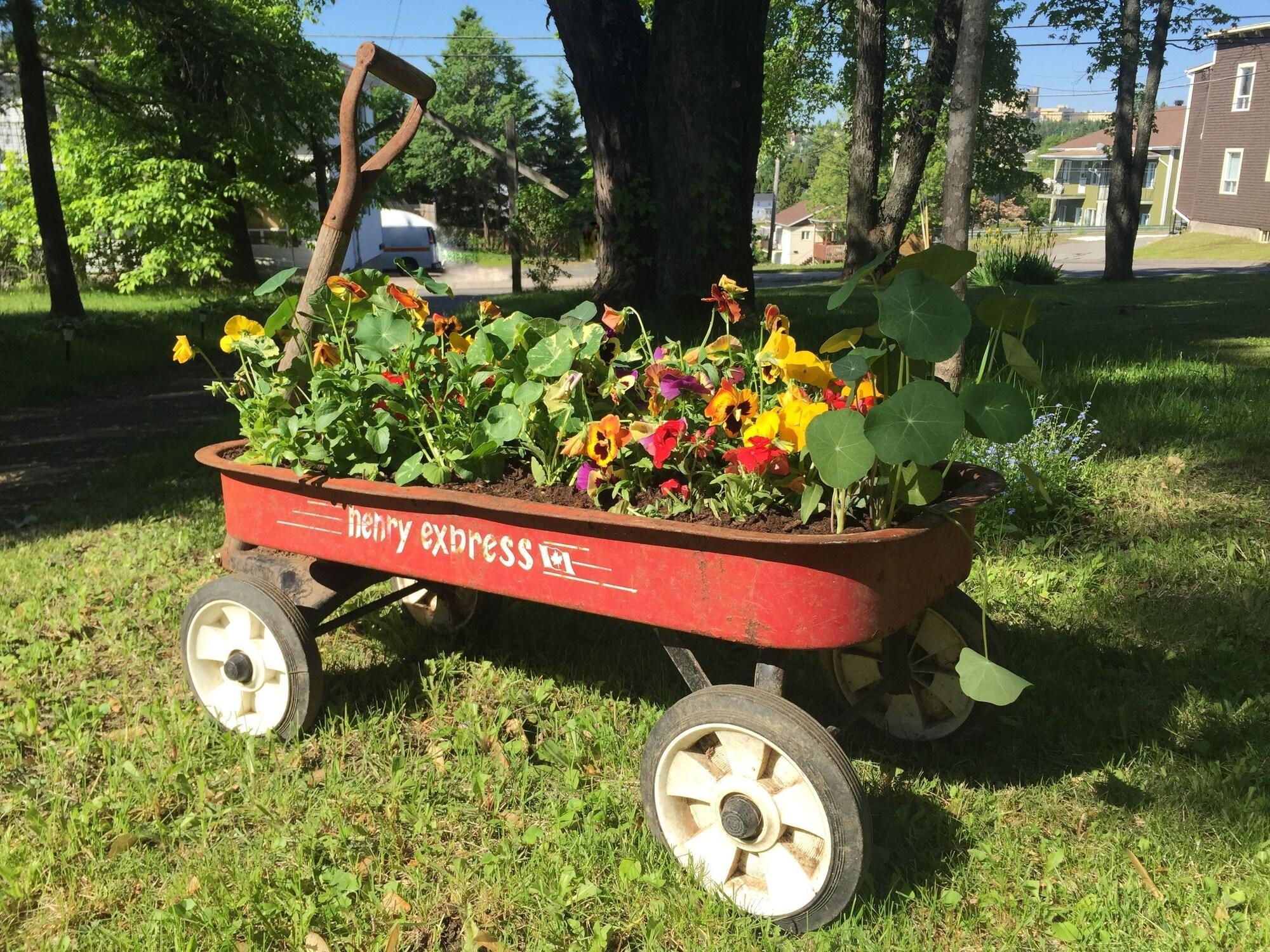 Vista Exterior Almatoit