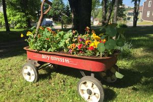 Alojamiento - Almatoit