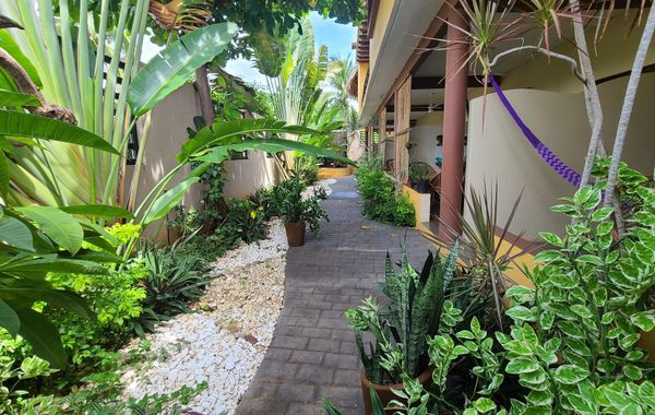 Casa Majagua - Hoteles pet friendly en Puerto Escondido, Oaxaca