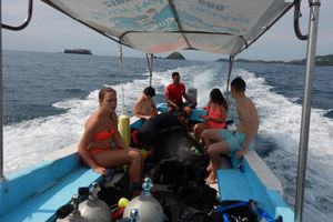 Actividad - Beneath the Blue: Dive into the Wild Pacific