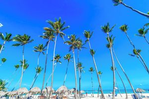 Alojamiento - MINI BEACH STUDIOS