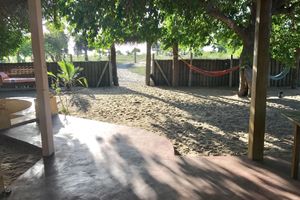 Alojamiento - The Coconut