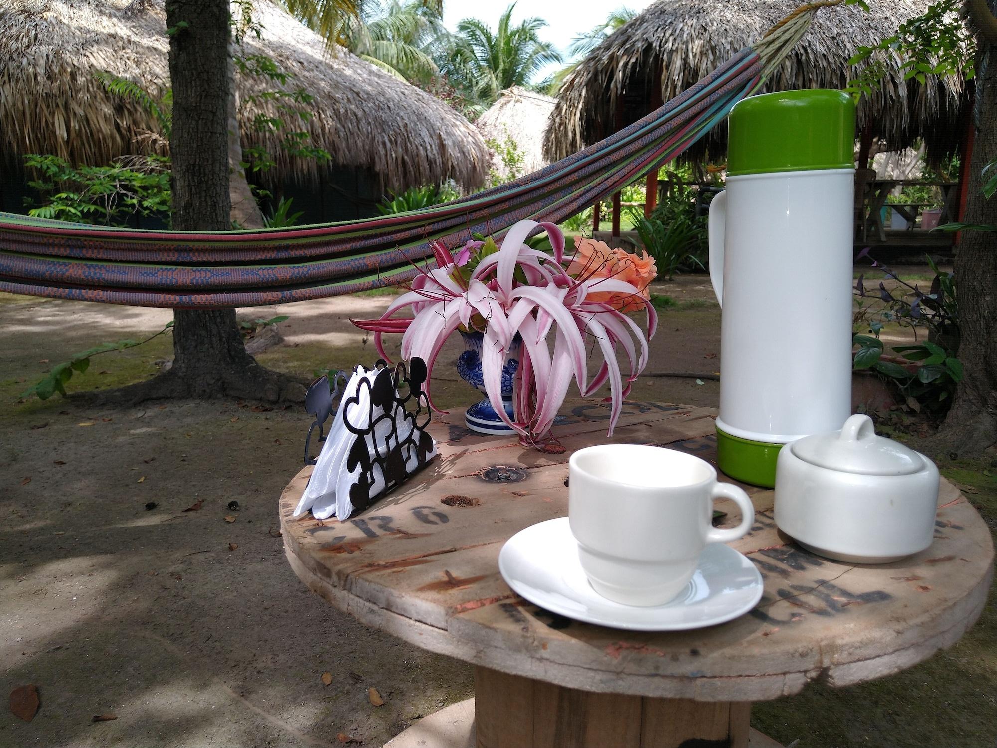 Vista Exterior Ecohotel Las Palmeras