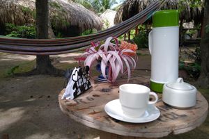 Alojamiento - Ecohotel Las Palmeras