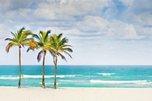 Paquete - Paquetes a Miami