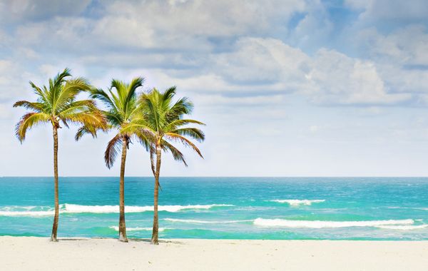 La Quinta Inn & Suites by Wyndham Miami Airport East