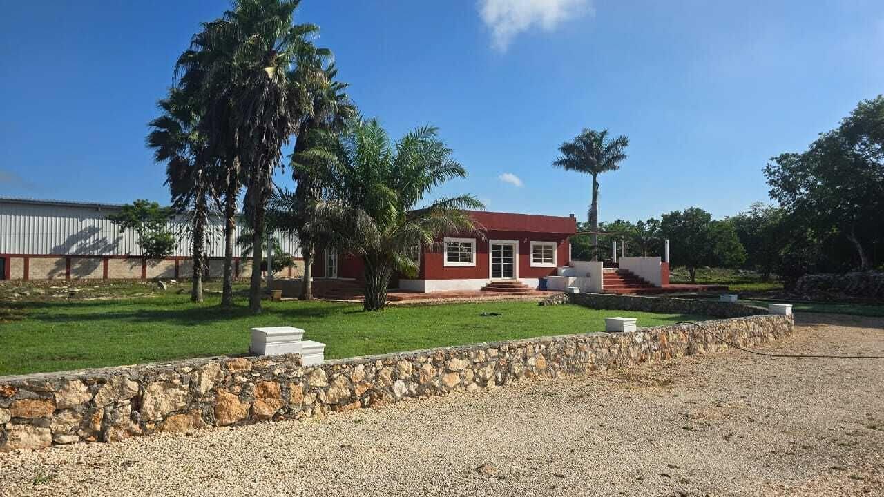 Restaurant REAL ZACI