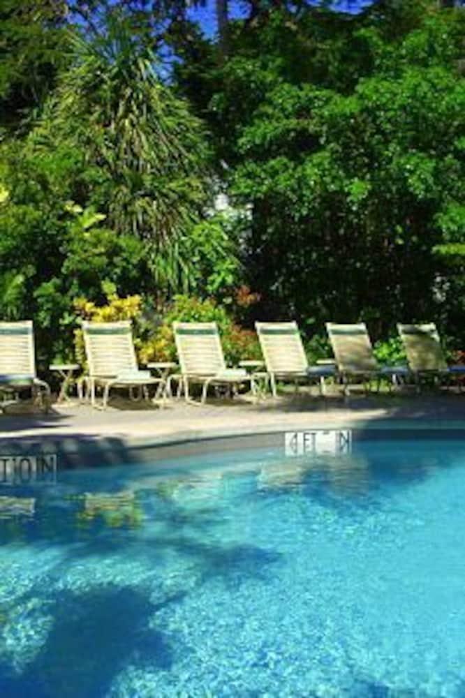 Vista Piscina The Banyan Resort
