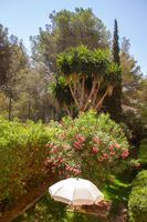 Alojamiento - Hotel Selva Arenal