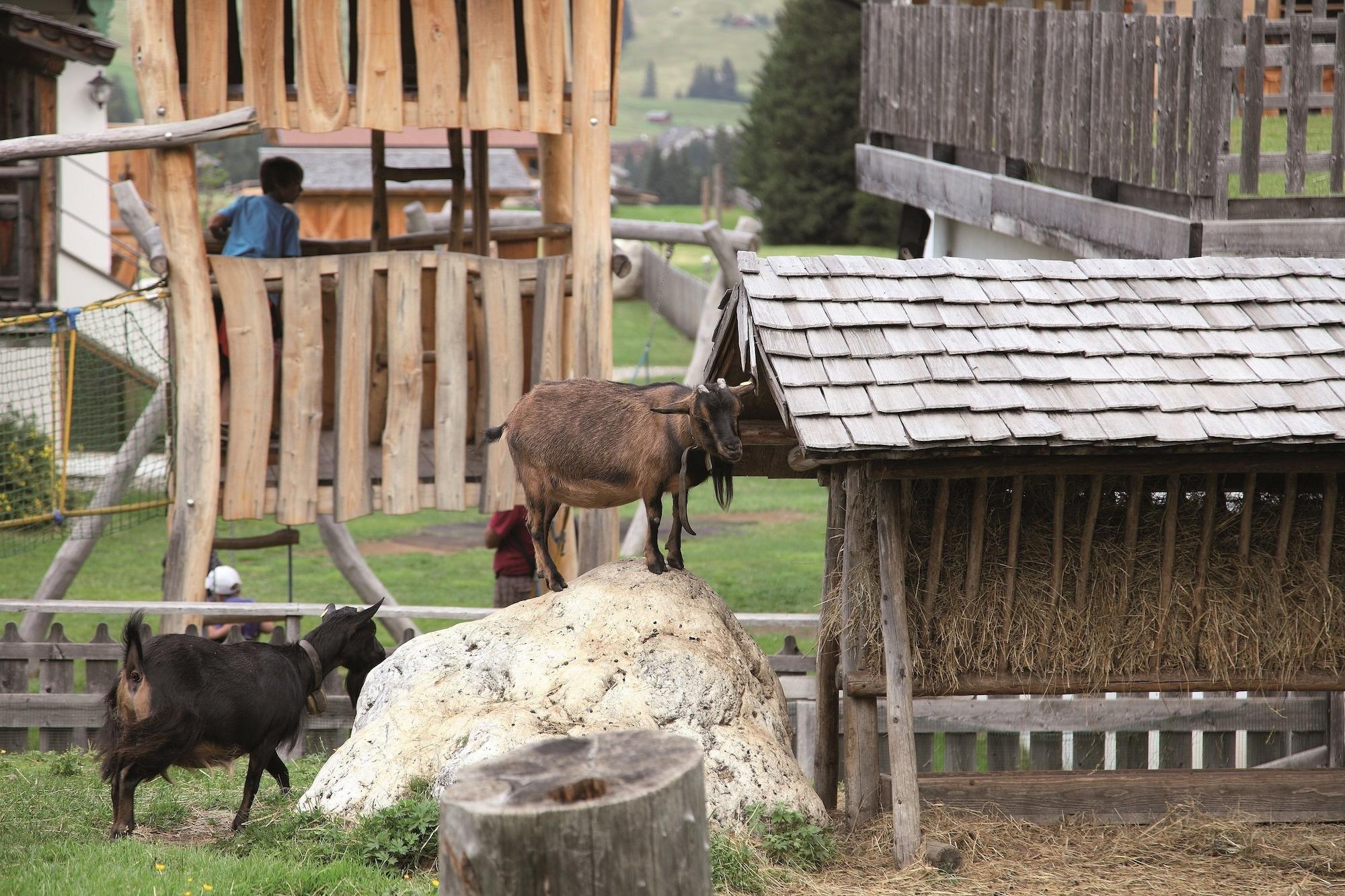 Vista Exterior Tirler - Dolomites Living Hotel