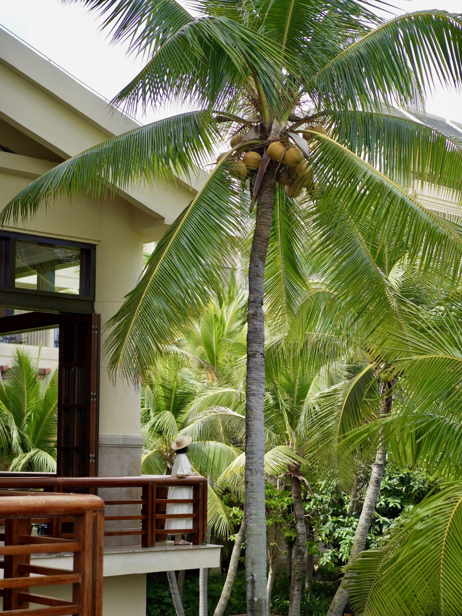 Vista Exterior Sheraton Sanya Resort