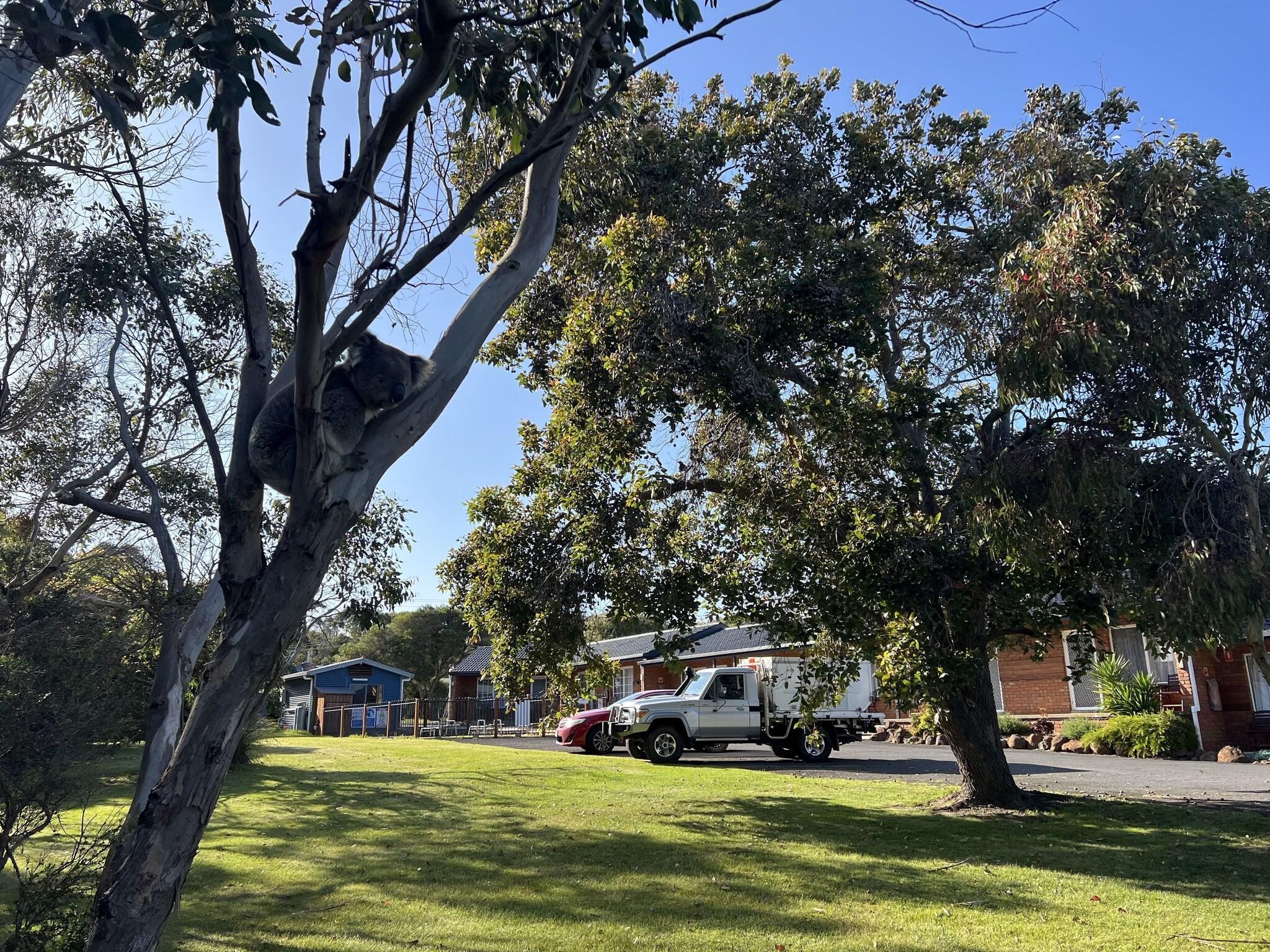 Vista Exterior Port Campbell Motor Inn