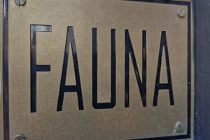 Alojamiento - FAUNA Montevideo