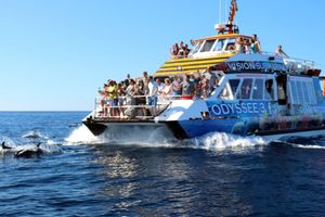 Actividad - Paseo en barco Odysse, recogida en Costa Calma